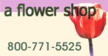 A Flower Shop